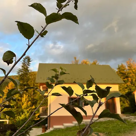 公寓 в карпатах