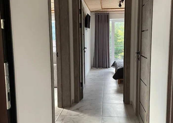 в карпатах 公寓 *