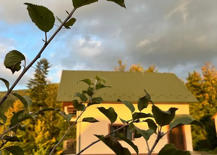 公寓 в карпатах